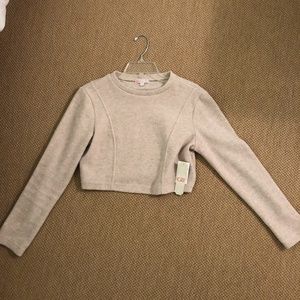 Brand NEW Gianni Bini cropped oatmeal sweater